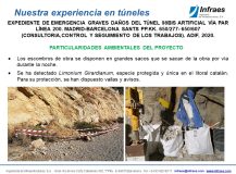 EXPEDIENTE DE EMERGENCIA GRAVES DAÑOS DEL TÚNEL 98BIS ARTIFICIAL VÍA PAR LÍNEA 200. MADRID-BARCELONA SANTS PP.KK. 650/277- 650/607 (CONSULTORIA,CONTROL Y SEGUIMIENTO DE LOS TRABAJOS)